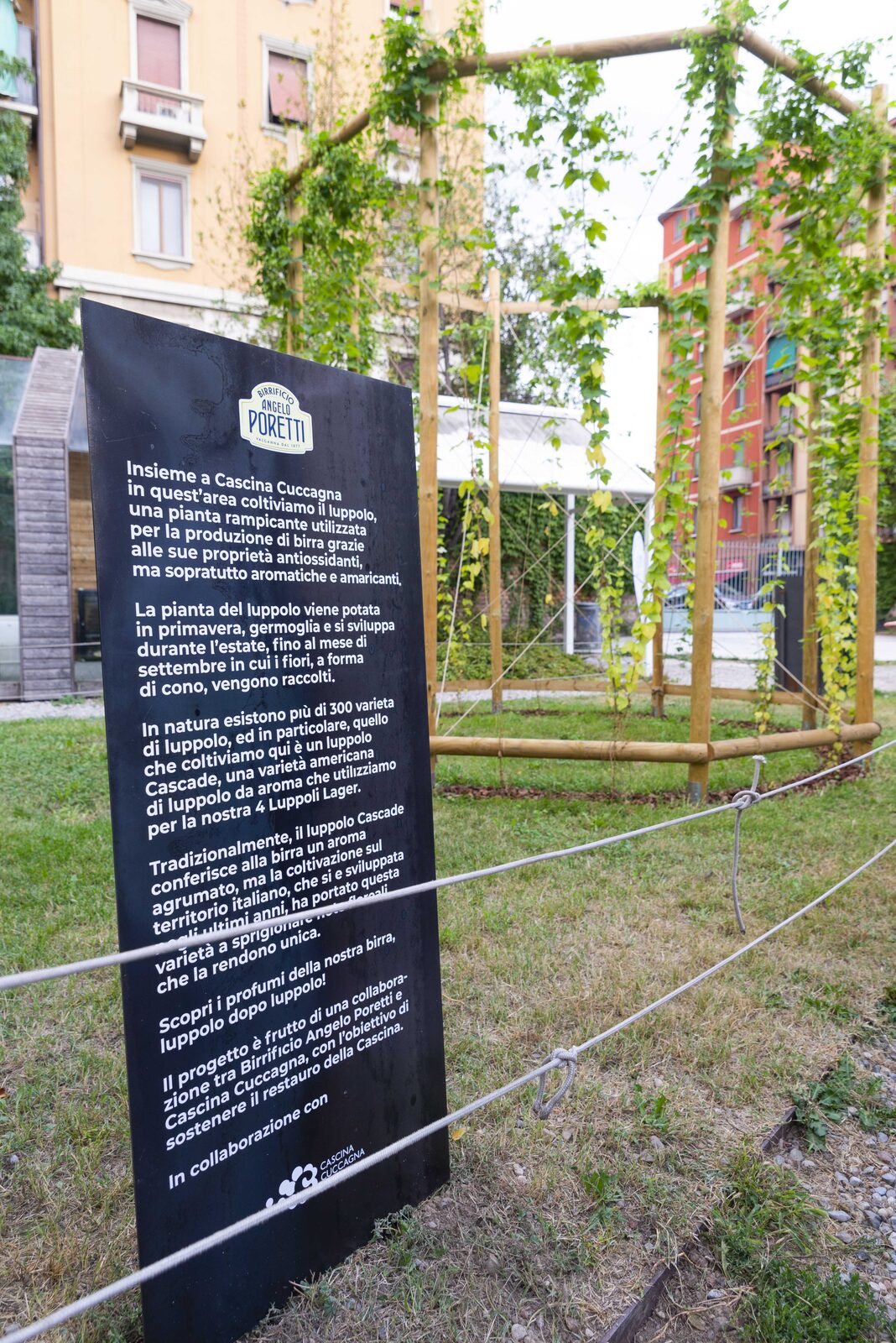 Luppoleto in Cascina Cuccagna