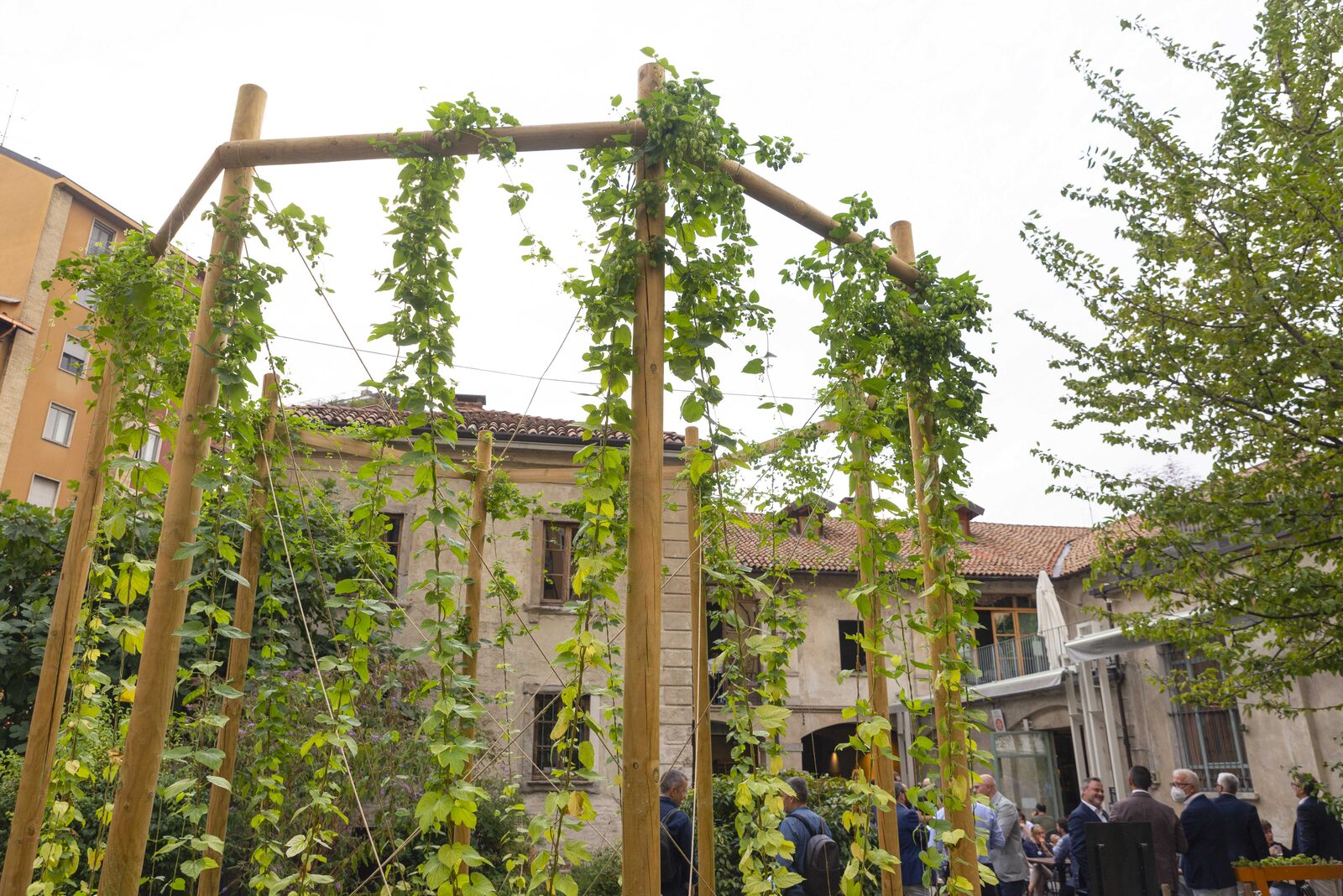 Il primo luppoleto in città — Cascina Cuccagna